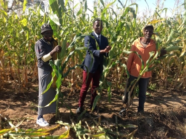 Yes, Attendance Can Be Motivated: Tapiwanashe’s Journey at Rubweruchena Secondary