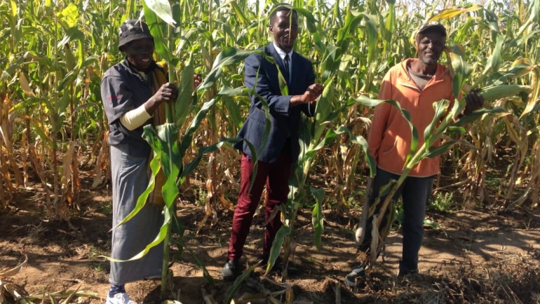 Yes, Attendance Can Be Motivated: Tapiwanashe’s Journey at Rubweruchena Secondary