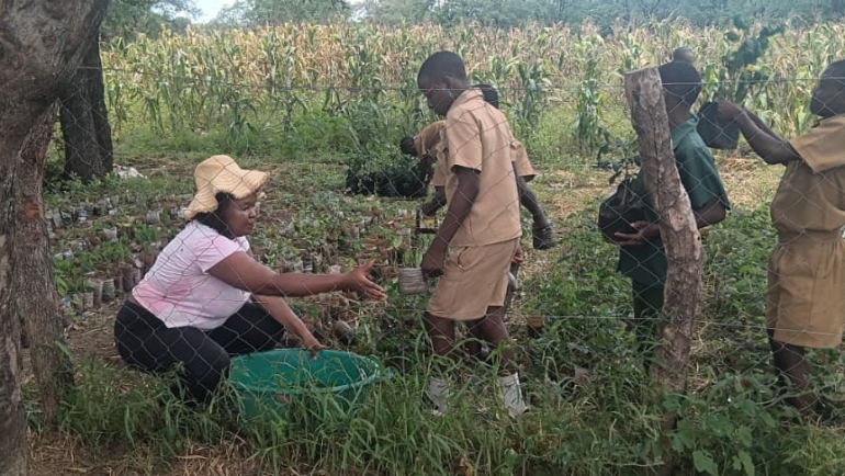 The Unstoppable Angela Dube: Climate Action in Practice 