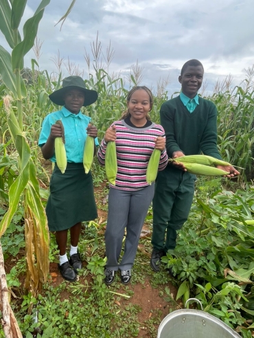 Harvesting Hope from Our School Garden: Apitimiss Asima 