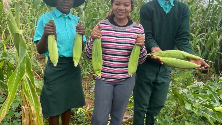 Harvesting Hope from Our School Garden: Apitimiss Asima 
